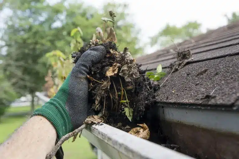 Roof Replacement Tacoma WA