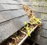 Clean Gutters in Yelm WA